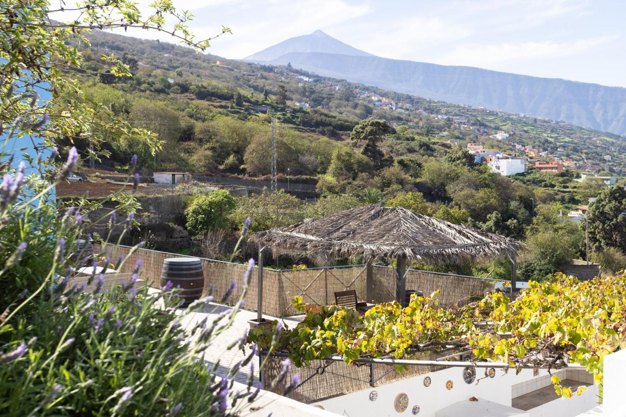 Ek Teide Finca El Milagro ラ・オロタバ エクステリア 写真